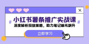 小红书-薯条推广实战课:深度解析投放策略,助力笔记曝光飙升-中创网_分享创业项目_助您在家赚钱