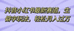 抖音小红书最新赛道，生僻字玩法，轻松月入过万-中创网_分享创业项目_助您在家赚钱