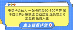 电话卡合伙人，一张卡佣金60-300不等，0加盟费， 搭建属于自己的分销商城，自动结算-中创网_分享创业项目_助您在家赚钱