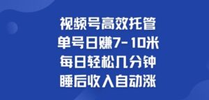 视频号高效托管,单号日赚7-10米,每日轻松几分钟,睡后收入自动涨-中创网_分享创业项目_助您在家赚钱