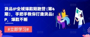 货品IP全域爆款陪跑营【第4期】,手把手教你打造货品IP,爆款不断-中创网_分享创业项目_助您在家赚钱