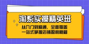 (12276期)淘系实操精英班:从入门到精通,全面覆盖,一站式掌握店铺盈利秘籍-中创网_分享创业项目_助您在家赚钱