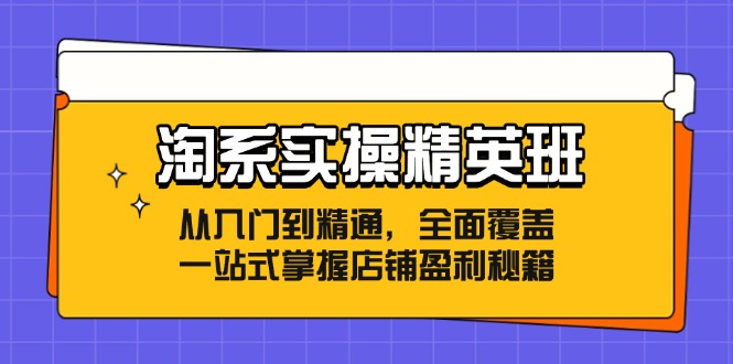 （12276期）淘系实操精英班：从入门到精通，全面覆盖，一站式掌握店铺盈利秘籍-中创网_分享创业项目_助您在家赚钱