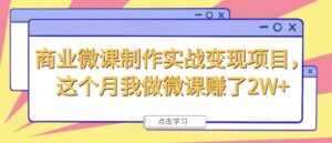 商业服务微视频制作实战演练转现新项目,这一月我自己做微课程挣了2W-中创网_分享创业项目_助您在家赚钱