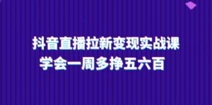 抖音直播间引流转现实操课,懂得一周多挣五六百(15堂课)-中创网_分享创业项目_助您在家赚钱