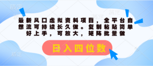 (11509期)全新出风口虚似材料新项目,全网平台自然流可持续性长期做。拷贝 日入四位数-中创网_分享创业项目_助您在家赚钱