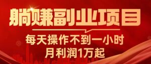 (11449期)躺赚副业项目,每天操作不到一小时,月利润1万起,实战篇-中创网_分享创业项目_助您在家赚钱