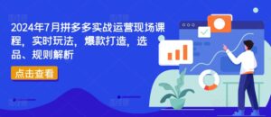 2024年7月拼多多平台实战演练经营当场课程内容,即时游戏玩法,爆款打造,选款、标准分析-中创网_分享创业项目_助您在家赚钱