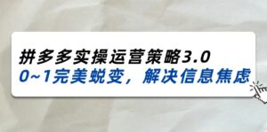 2024-2025拼多多平台实际操作运营战略3.0，0~1华丽蜕变，处理信息焦虑（38节）-中创网_分享创业项目_助您在家赚钱