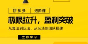 (11435期)拼多多·进阶课:极限拉升/盈利突破:从算法到玩法 从玩法到团队搭建-18节-中创网_分享创业项目_助您在家赚钱