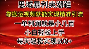 公域卖潮牌鞋子爆利游戏玩法,新手快速上手,日赚多张,轻松,只靠搬运视频就可精准引流方法-中创网_分享创业项目_助您在家赚钱