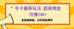 号卡最新玩法,高佣金当日出单,月赚1W+-中创网_分享创业项目_助您在家赚钱