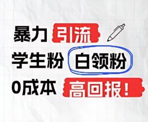暴力行为引流方法学生们粉上班族粉，完爆过去废弃物游戏玩法，0成本费，高收益-中创网_分享创业项目_助您在家赚钱