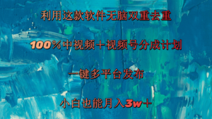 （11710期）运用这个软件没脑子双向去重复 100％中视频＋微信视频号分为方案 新手也可以月入3w＋-中创网_分享创业项目_助您在家赚钱