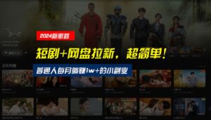 【新思路】短剧+网盘拉新，超简单，普通人每月躺赚1w+的小副业-中创网_分享创业项目_助您在家赚钱