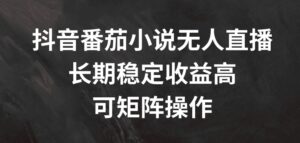 抖音番茄小说无人直播，长期稳定收益高，可矩阵操作【揭秘】-中创网_分享创业项目_助您在家赚钱