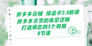 拼多多店铺操盘手2.0新课,拼多多卖货的底层逻辑,打造爆款的3个周期(8节)-中创网_分享创业项目_助您在家赚钱