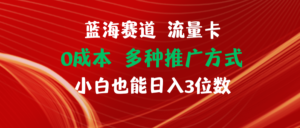 (11768期)瀚海跑道 上网卡 0成本费 新手也可以日入三位数-中创网_分享创业项目_助您在家赚钱