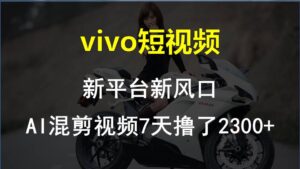 【老万财富圈】前沿技术助推！VIVO中视频新项目每星期轻松赚钱1w ，AI去重要揭密！-中创网_分享创业项目_助您在家赚钱