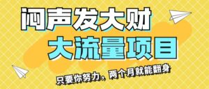 （11688期）闷声发大财，大流量项目，月收益过3万，只要你努力，两个月就能翻身-中创网_分享创业项目_助您在家赚钱