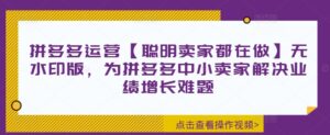 拼多多运营【聪明卖家都在做】无水印版,为拼多多中小卖家解决业绩增长难题-中创网_分享创业项目_助您在家赚钱