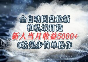 全自动网盘拉新和私域打造,0粉起步简单操作,新人入门当月收益5000以上-中创网_分享创业项目_助您在家赚钱