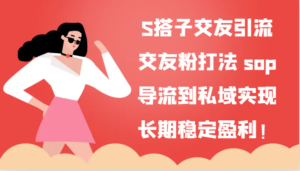 S搭子交朋友引流方法，交朋友粉玩法 sop，引流到公域实现长期高抛低吸！-中创网_分享创业项目_助您在家赚钱