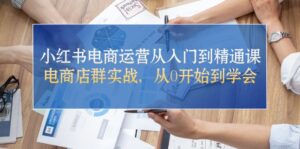 小红书电商运营从入门到精通课，电商店群实战，从0开始到学会-中创网_分享创业项目_助您在家赚钱