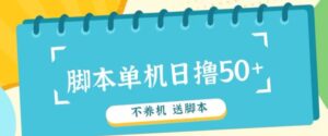 首码，0撸天花板不养机轻松日入100-500+ 送脚本-中创网_分享创业项目_助您在家赚钱