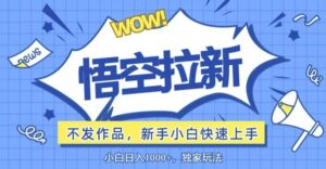 悟空拉新最新玩法,无需作品暴力出单,小白快速上手-中创网_分享创业项目_助您在家赚钱