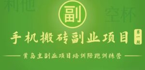 手机搬砖小副业项目训练营1.0,能用手机做的简单小副业-中创网_分享创业项目_助您在家赚钱