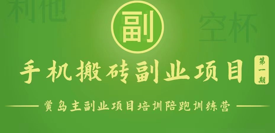 手机搬砖小副业项目训练营1.0，能用手机做的简单小副业-中创网_分享创业项目_助您在家赚钱
