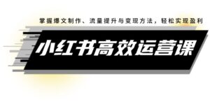 (12369期)小红书高效运营课:掌握爆文制作、流量提升与变现方法,轻松实现盈利-中创网_分享创业项目_助您在家赚钱