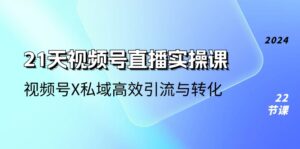 21天视频号直播实操课，视频号X私域高效引流与转化（22节课）-中创网_分享创业项目_助您在家赚钱