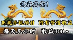 靠谱手机项目,附带丰富多样的管道收益,每日几个小时,盈利300-中创网_分享创业项目_助您在家赚钱
