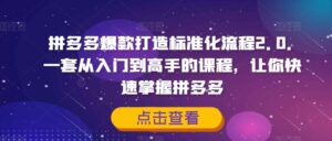 拼多多爆款打造标准化流程2.0,一套从入门到高手的课程,让你快速掌握拼多多-中创网_分享创业项目_助您在家赚钱