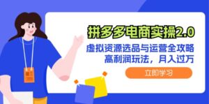 拼多多电商实操2.0:虚拟资源选品与运营全攻略,高利润玩法,月入过万-中创网_分享创业项目_助您在家赚钱
