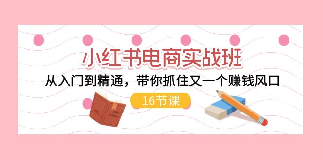 图片[1]-小红书电商实战演练班，实用教程，陪你把握住又一个挣钱出风口（17节）