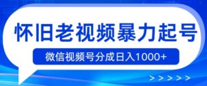 复古小视频暴力行为养号,视频号分为日入1k-中创网_分享创业项目_助您在家赚钱