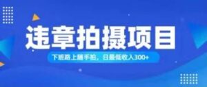 （11698期）随拍还能赚钱？正确的日入300-中创网_分享创业项目_助您在家赚钱