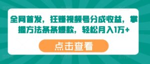 全网首发，狂赚视频号分成收益，掌握方法条条爆款，轻松月入1万+-中创网_分享创业项目_助您在家赚钱