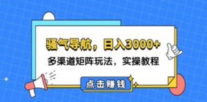(12255期)日入3000+ 骚气导航,多渠道矩阵玩法,实操教程-中创网_分享创业项目_助您在家赚钱
