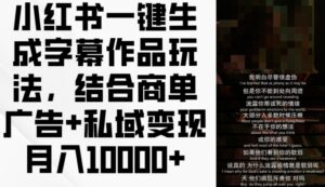 小红书的一键生成外挂字幕著作游戏玩法,融合商单广告宣传 私域变现月入1w 【揭密】-中创网_分享创业项目_助您在家赚钱