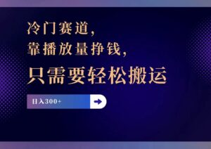 (11965期)冷门赛道,靠播放量挣钱,只需要轻松搬运,日赚300+-中创网_分享创业项目_助您在家赚钱