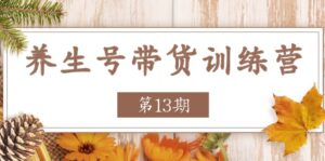 健康养生号卖货夏令营【第13期】盈利更稳定的游戏玩法,使你卖货盈利发生爆炸-中创网_分享创业项目_助您在家赚钱
