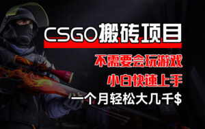 （12332期）CSGO 装备搬砖项目，操作简单，不需要会玩游戏，小白也能快速上手，一…-中创网_分享创业项目_助您在家赚钱
