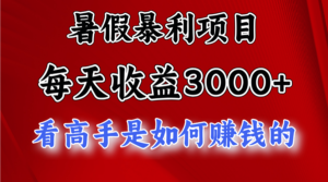 (11422期)暑期赚钱项目,每日盈利3000 加把劲可以达到5000 ,暑期大流量来了-中创网_分享创业项目_助您在家赚钱