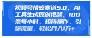 微信视频号情绪跑道5.0,AI手机软件形成原创短视频,100条一小时,引流矩阵实际操作,引爆流量-中创网_分享创业项目_助您在家赚钱