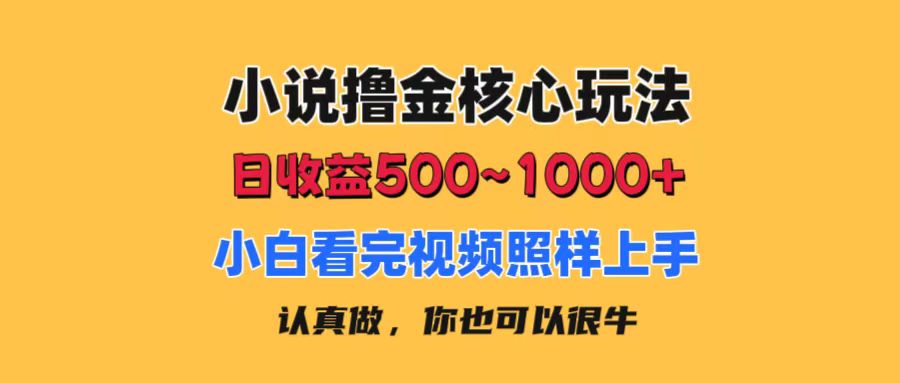 （11461期）小说撸金核心玩法，日收益500-1000+，小白看完照样上手，0成本有手就行-中创网_分享创业项目_助您在家赚钱