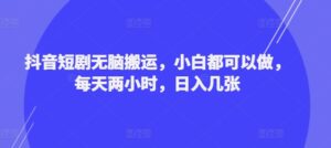 抖音短剧无脑搬运,小白都可以做,每天两小时,日入几张-中创网_分享创业项目_助您在家赚钱
